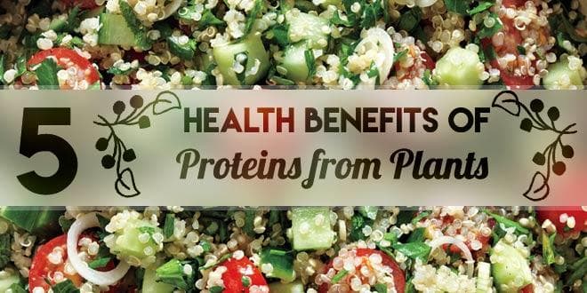 Featured visual summarizing evidence-based guidance related to 5 Health Benefits of Proteins from Plants.