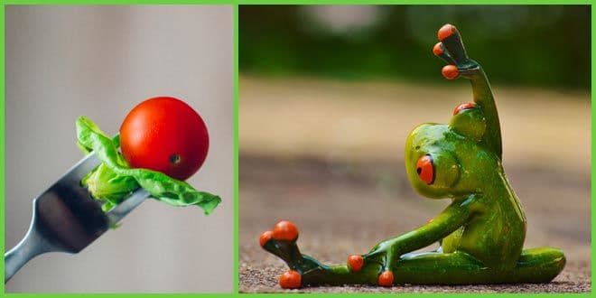 Featured visual summarizing evidence-based guidance related to Avoid Post-Workout Overeating and Increase Efficiency.