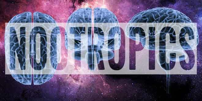 Turn The Mind – Nootropics for The Mental Edge