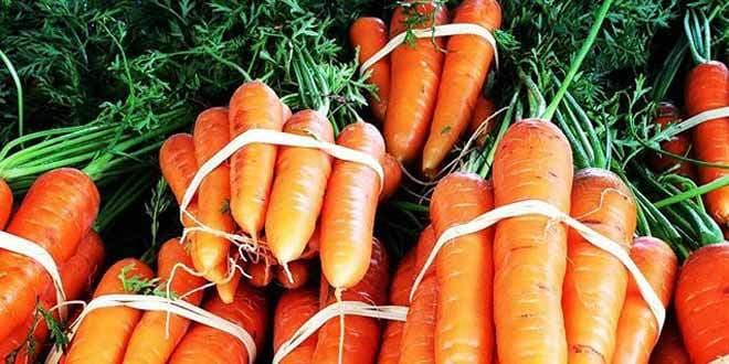 Featured visual summarizing evidence-based guidance related to Carrots | Health Benefits and Nutritional Information.