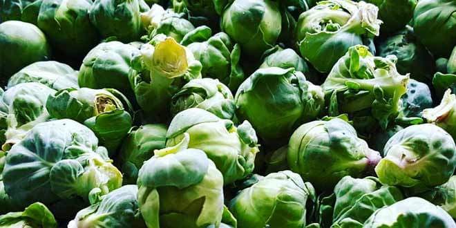 Featured visual summarizing evidence-based guidance related to Brussels Sprouts: Fun Facts and Health Benefits.