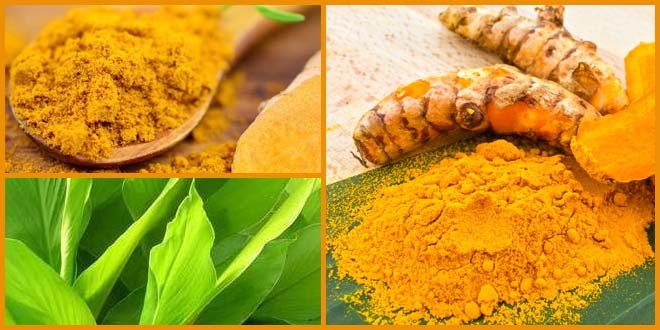 Various Forms of Turmeric