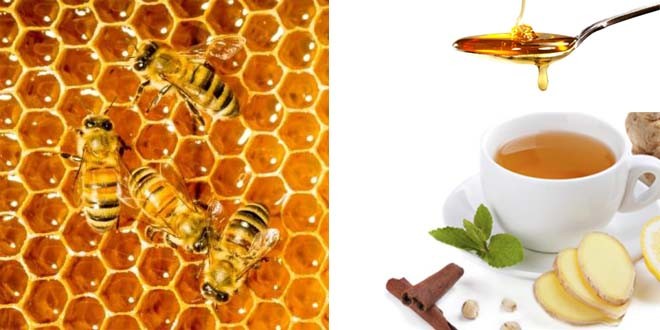 7 Amazing Health Benefits of Honey Top 2016 Tips