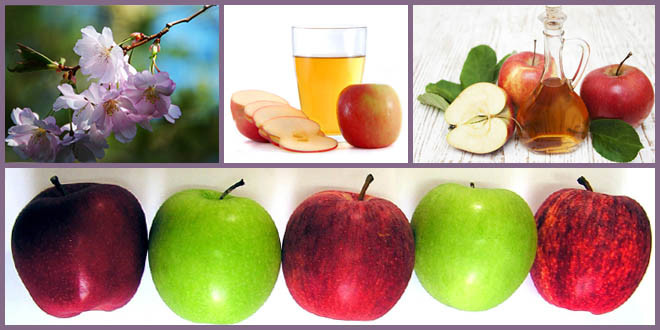 Health_Benefits_of_Apple_660x330_featured_v2