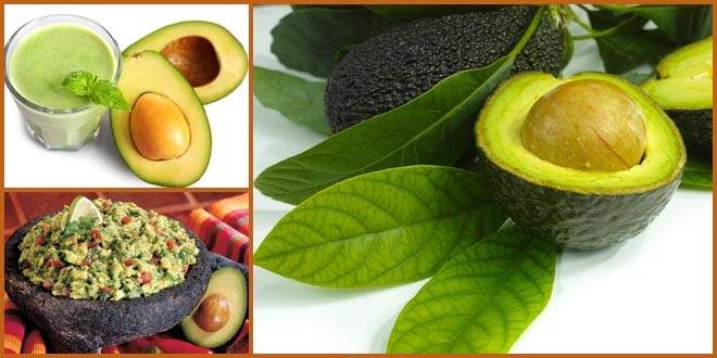 Health Benefits of Avocado