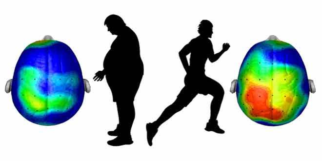 brain_activity_health_people_running_660x330