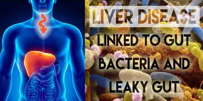 liver_damage_gut_bacteria_leaky_gut_660x330