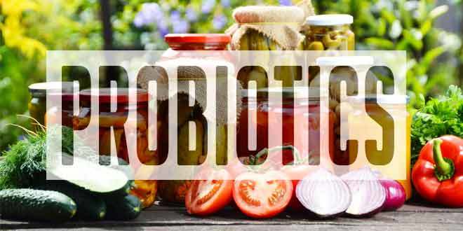 2016 Best Probiotics Foods Explained - Healthy Living Benefits