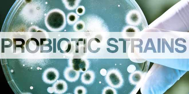 PROBIOTIC_STRAINS_660X330PX