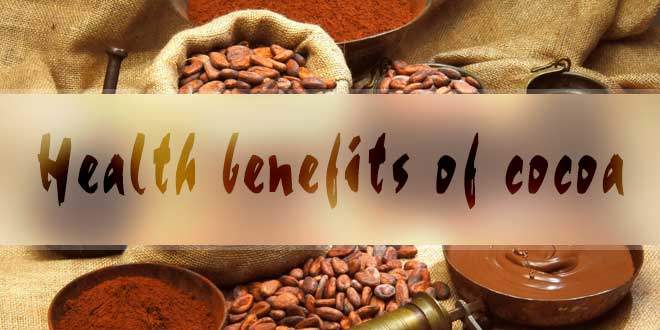 Health Benefits of Cocoa Powder Unrevealed