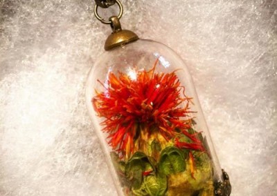 Safflower Locket