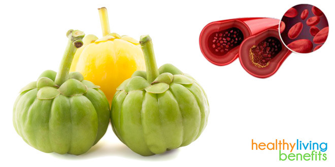 garcinia-cambogia-weight-loss-Hydroxycitric-Acid-660x330