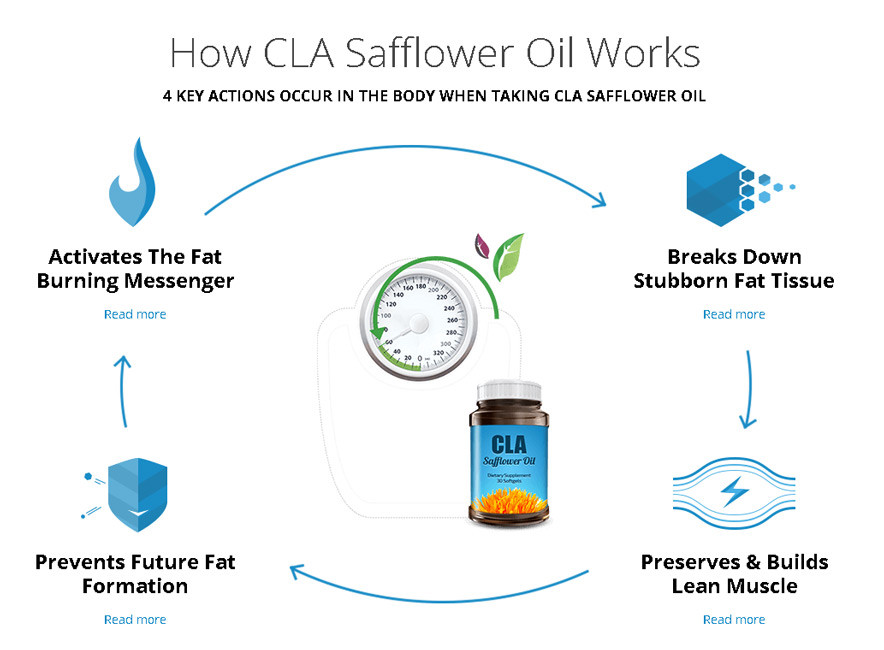 cla-safflower-oil-mechanism-of-action-884x650