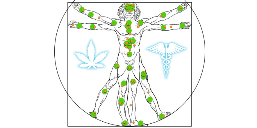 ENDOCANNABINOID-SYSTEM-ECS-EXPLAINED