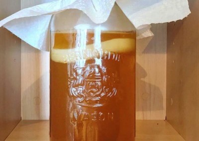 kamboocha-tea-probiotics-600x600