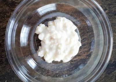 kefir-probiotics-600x600