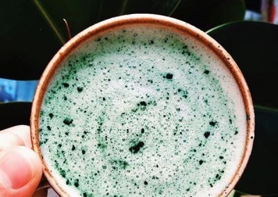 microalgae-probiotic-600x600