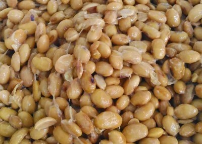 natto-probiotics-600x600
