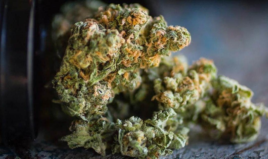 Legal Status of THC by State