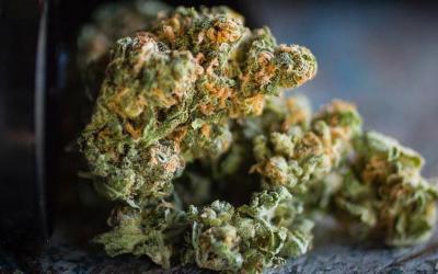 Legal Status of THC by State